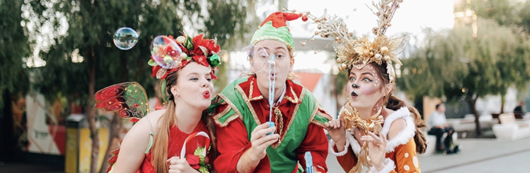 Christmas on the Green [City of Cockburn]