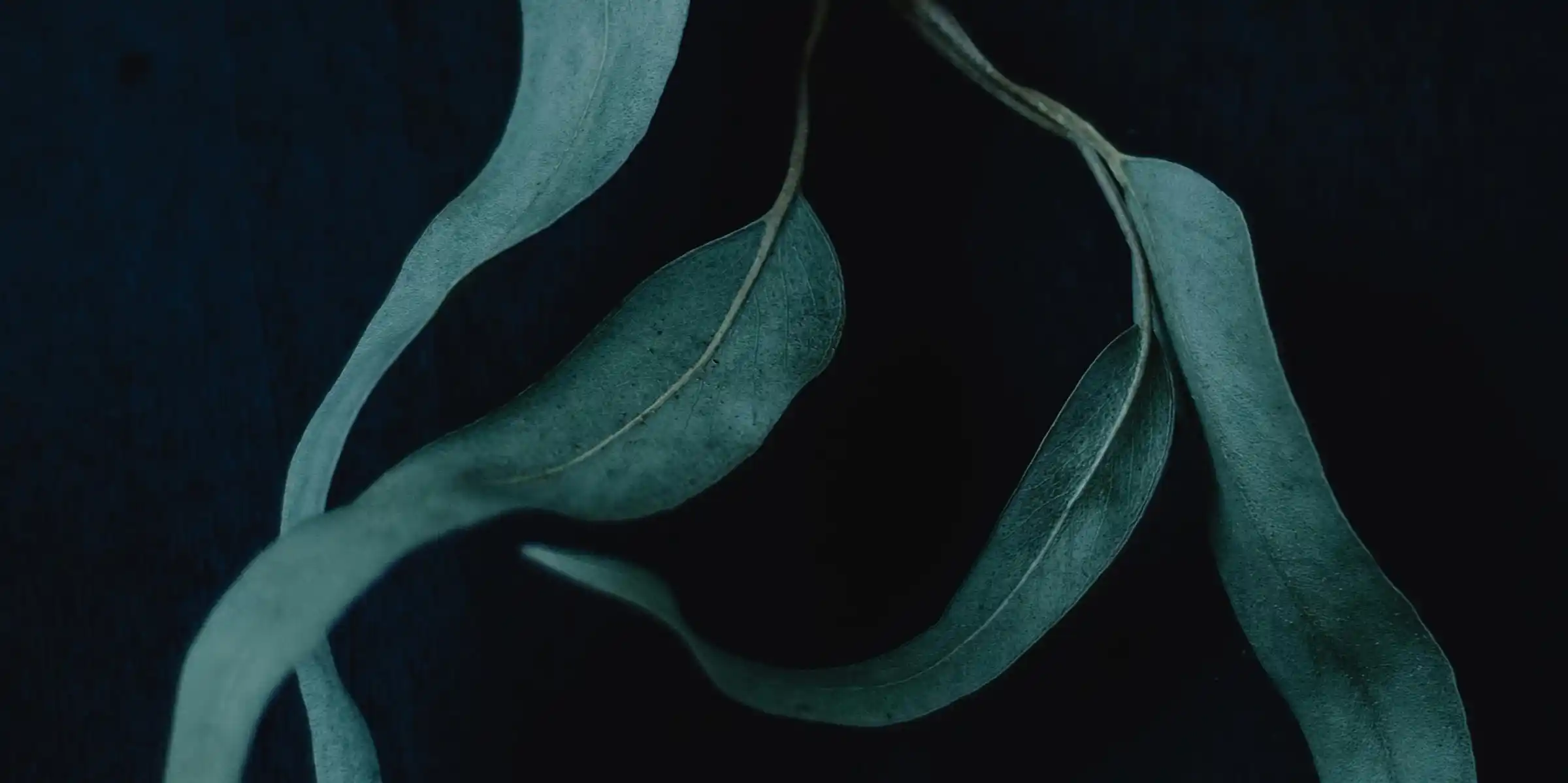 Movement & Stasis: 30th Annual AAWP Conference - Plenary [Melbourne]