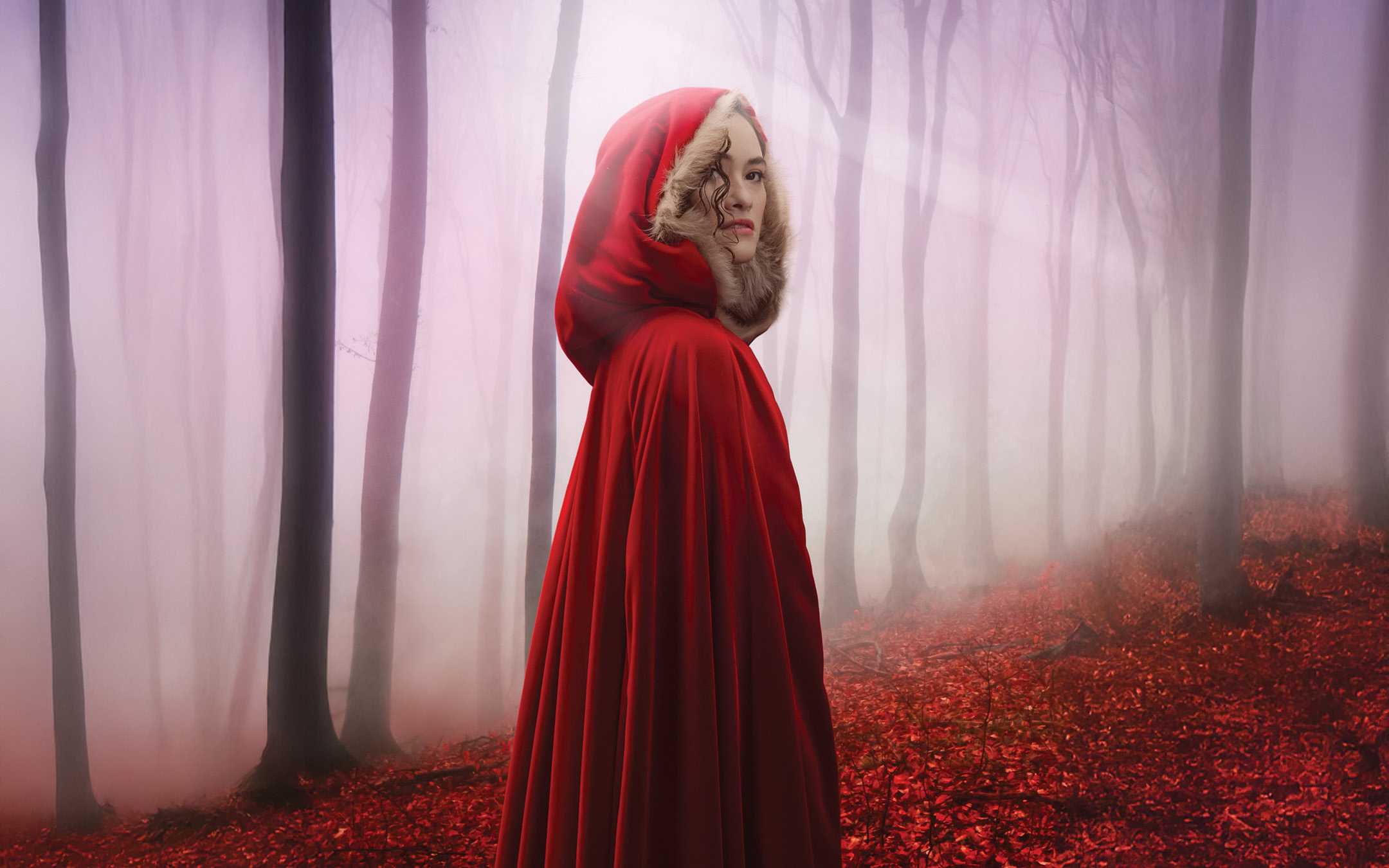 Into The Woods (Queensland Theatre) [Brisbane]