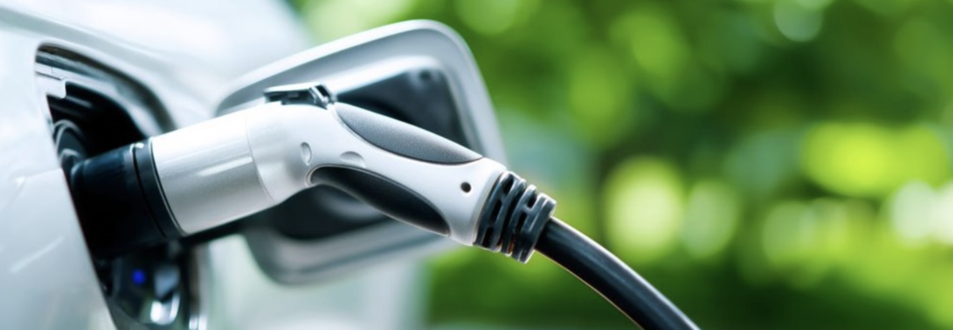 Eco Festival 2026 [Montmorency]