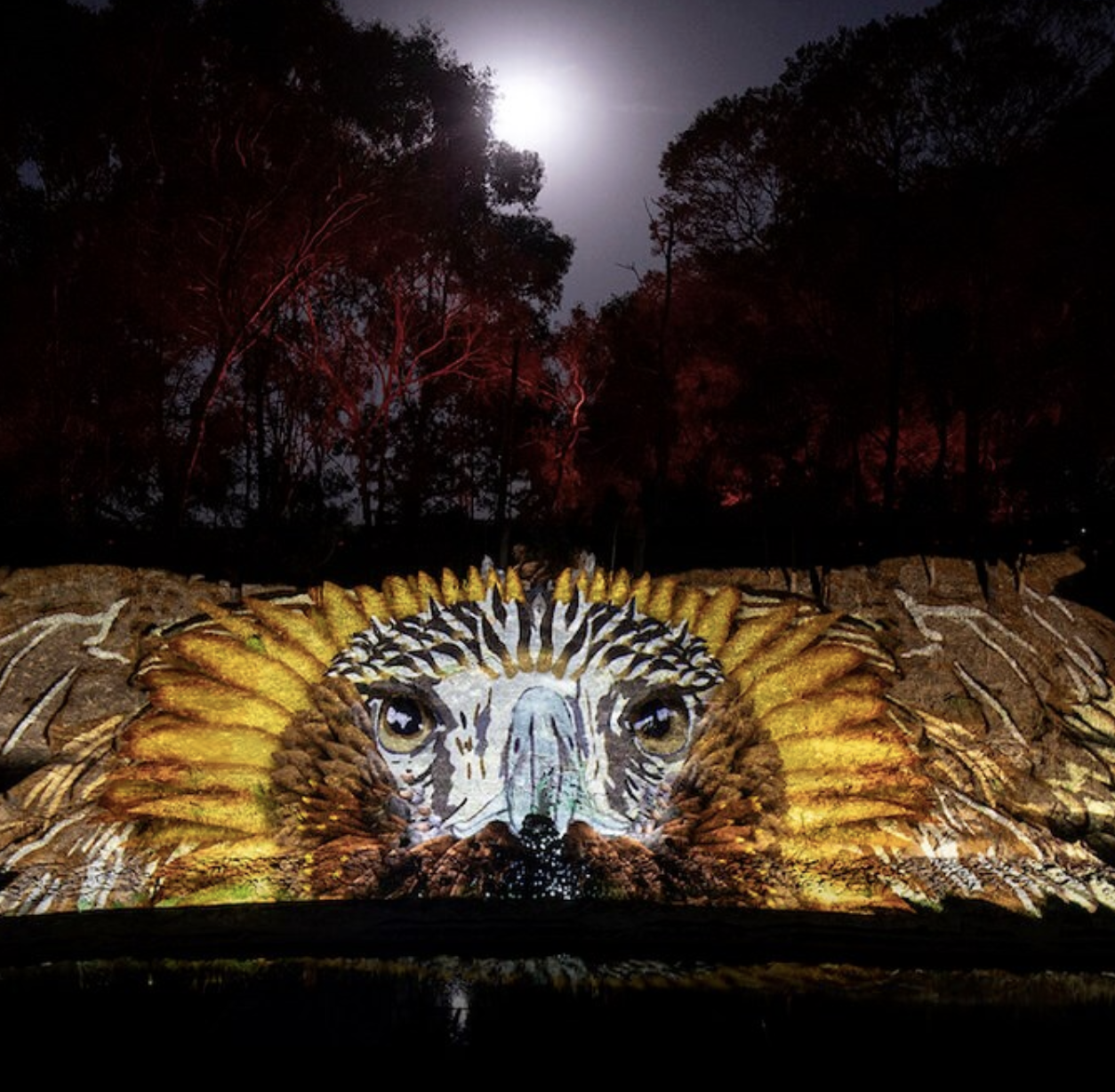 Auslan Access Day at Sovereign Hill - AURA sound and light spectacular (8:45pm) [Sovereign Hill, VIC]