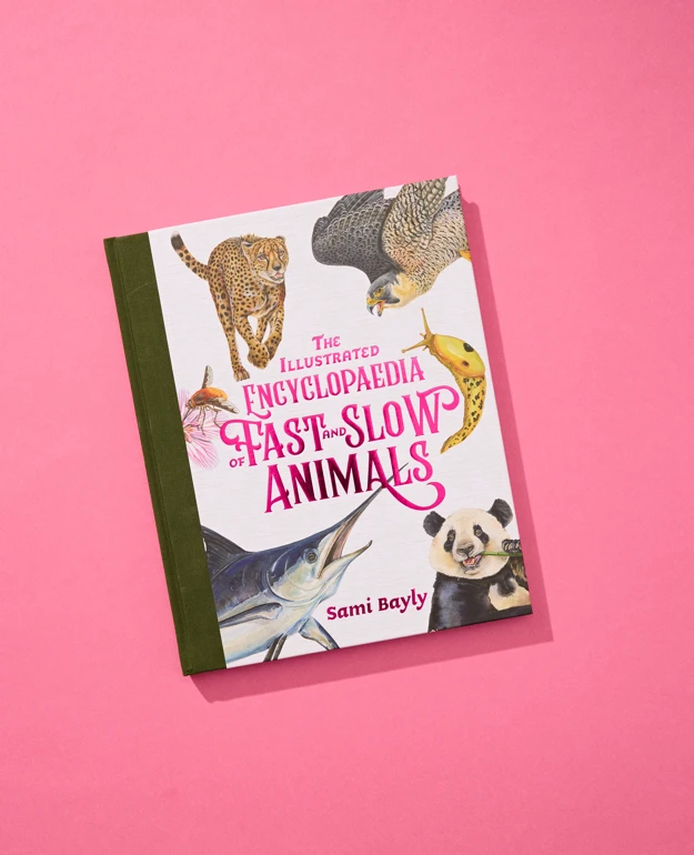 Weird and Wonderful Animals (SWF) [Sydney]