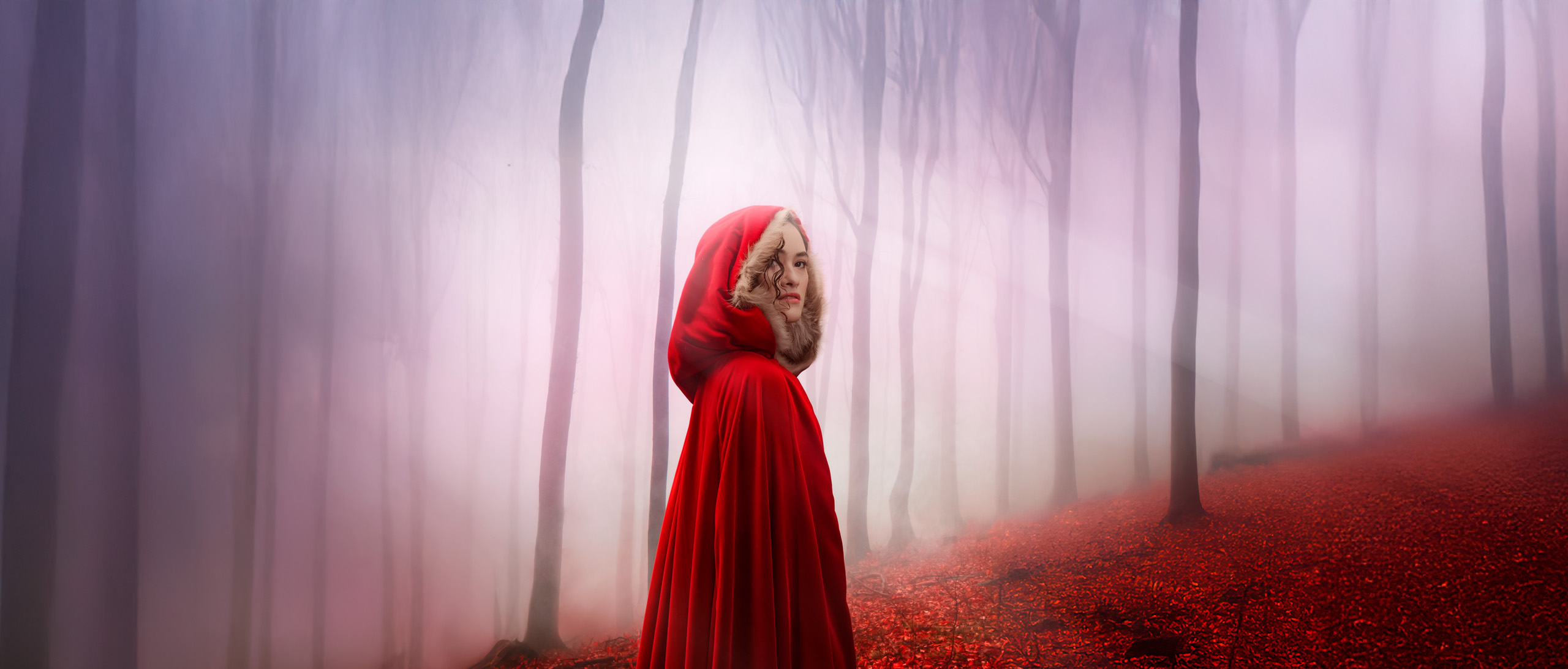 Into The Woods (Queensland Theatre) [Brisbane]