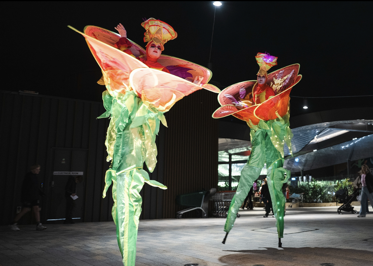 Lane Cove Fringe Launch Event (Sydney Festival) [Sydney]